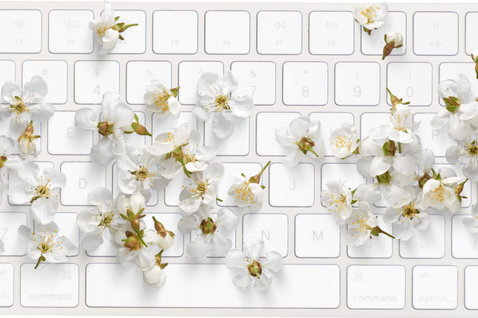 Cherry Blossoms Flowers on Top of a White Keyboard