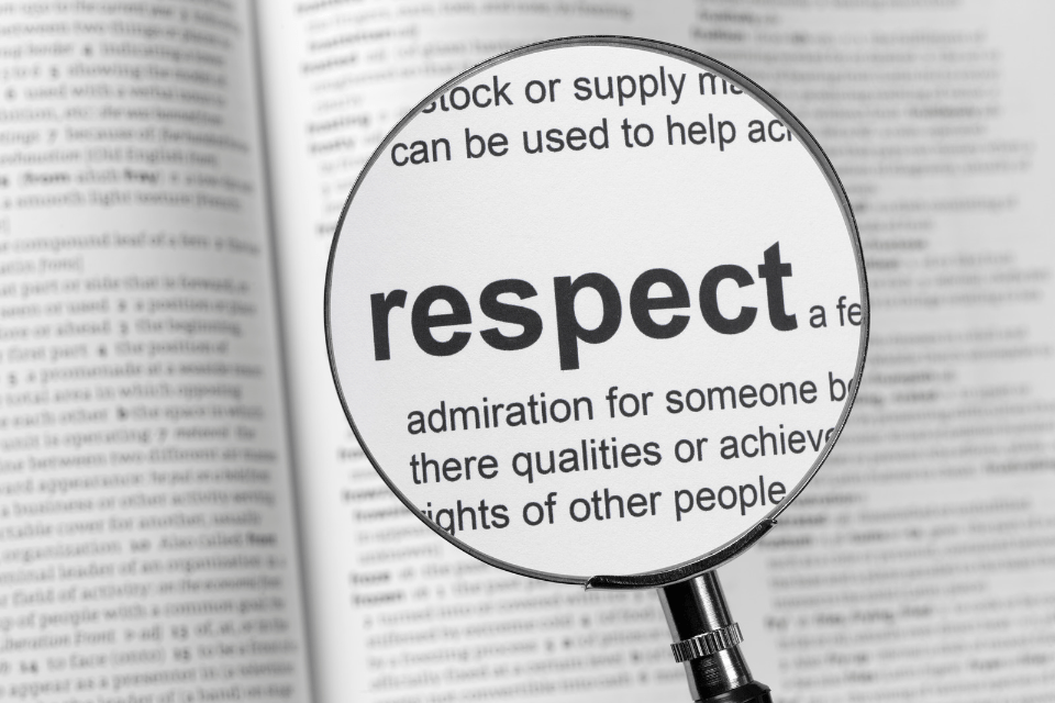 Highlighting the Word Respect in the Dictionary