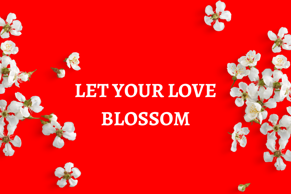 Cherry Blossoms Dating 22 Reasons to Join - Blossoms Dating Blog